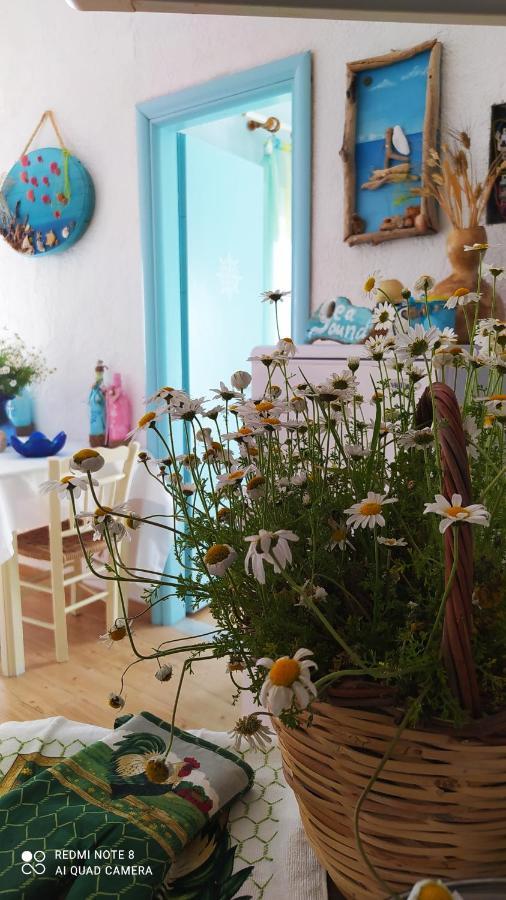 Socrates Sea View Apartment Kampos Marathokampou Bagian luar foto