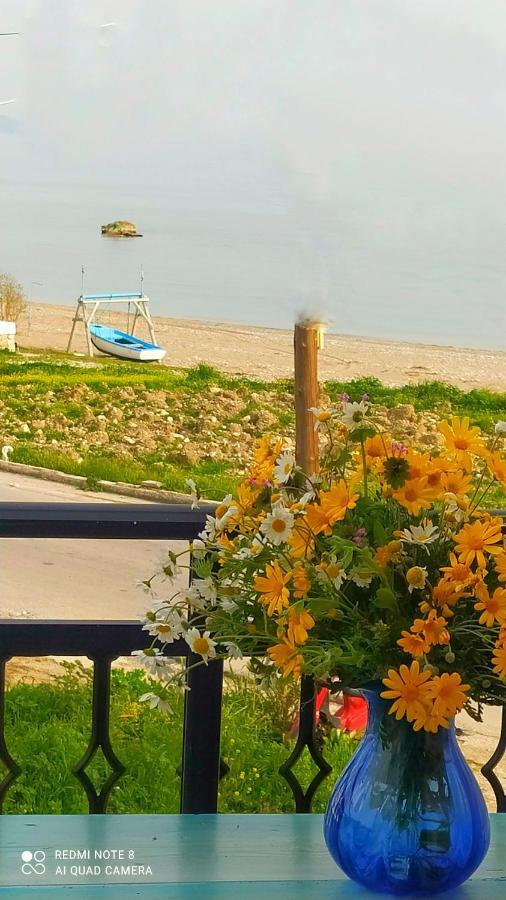 Socrates Sea View Apartment Kampos Marathokampou Bagian luar foto