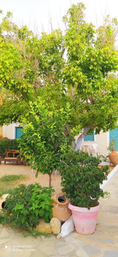 Socrates Sea View Apartment Kampos Marathokampou Bagian luar foto